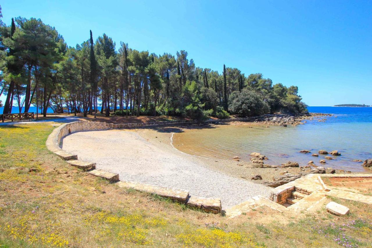 Vila Una With Private Pool Near Rovinj - Open 2022 로비니스코 셀로 외부 사진