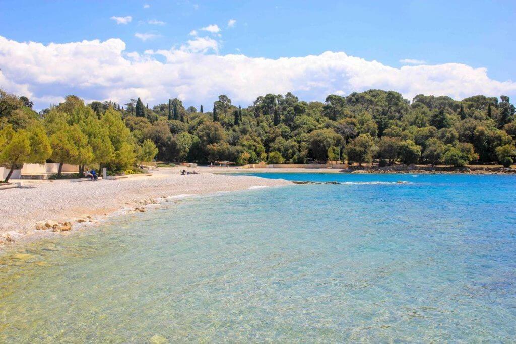 Vila Una With Private Pool Near Rovinj - Open 2022 로비니스코 셀로 외부 사진