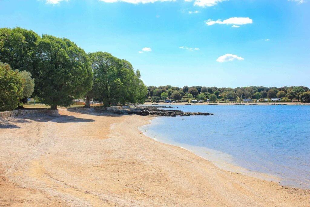 Vila Una With Private Pool Near Rovinj - Open 2022 로비니스코 셀로 외부 사진